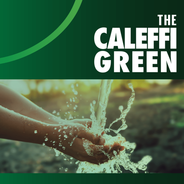 The Caleffi Green