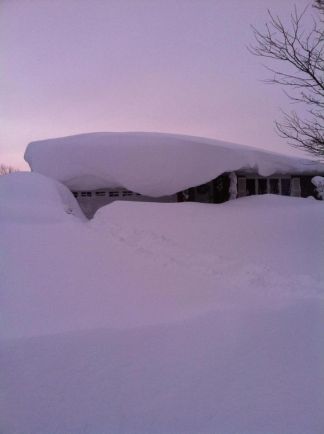 Buffalo snow buried house jackie parker