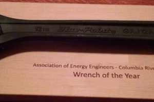 Wrench of the Year Pic
