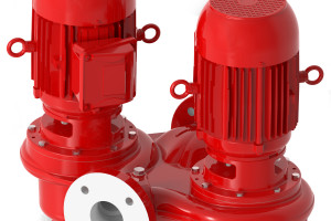 Xylem Bell Gossett Series e 82 twin in line centrifugal pump