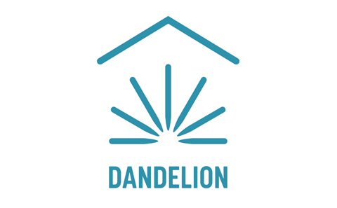 dandelion energy
