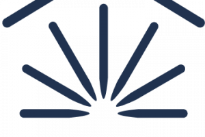dandelion full logo stacked navy